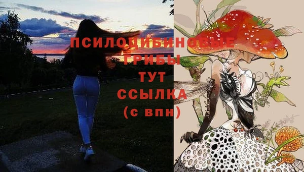 прущие крисы Куйбышев