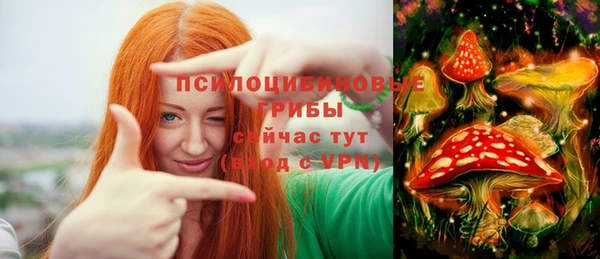 амф Осташков