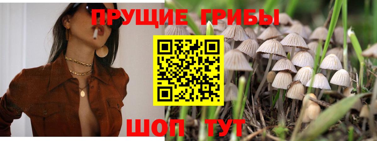 наркота  Вход с VPN  Темрюк  Псилоцибиновые грибы ЛСД 