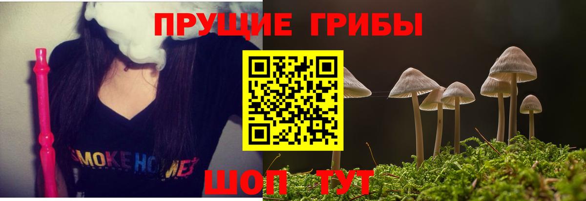 Псилоцибиновые грибы Cubensis Темрюк